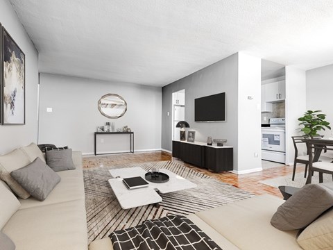 A modern living room with a white couch and a black and white rug.